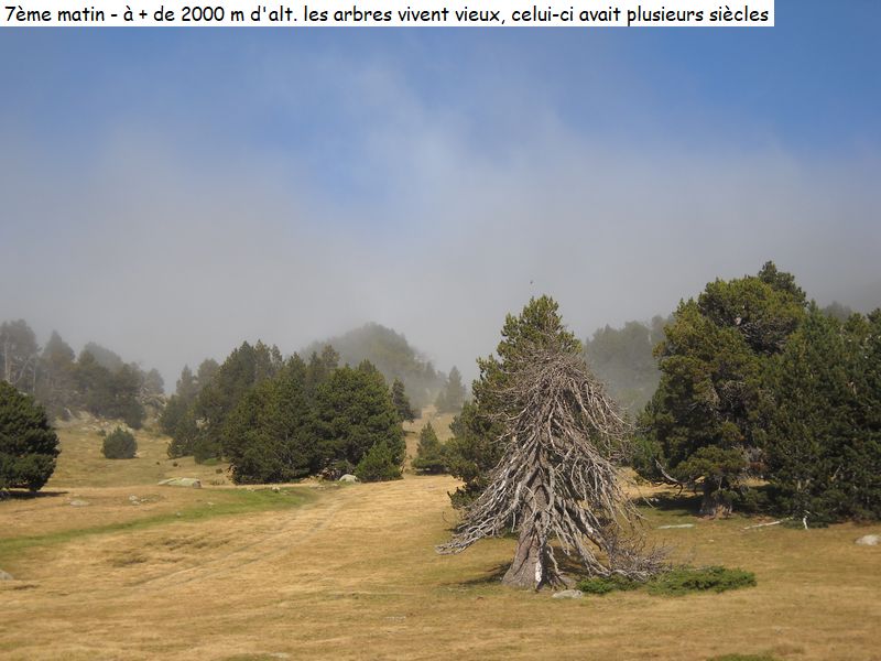 gite_7j_garrotxes_capcir_cerdagne_diap260